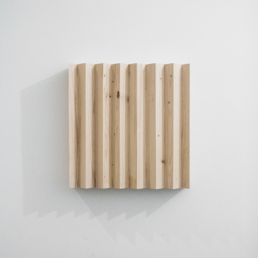 https://www.benjaminmenzel.net/files/gimgs/th-156_strahlerfichte1.jpg