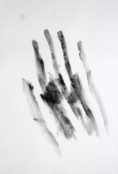https://www.benjaminmenzel.net/files/dimgs/thumb_0x350_21_140_542.jpg